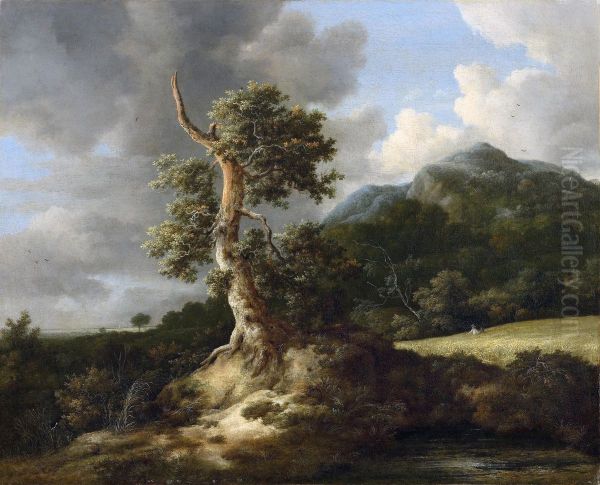 Rolling landscape with an oak before a cornfield - view 1