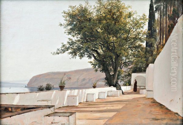 Scene near Sorrento overlooking the Sea - view 1