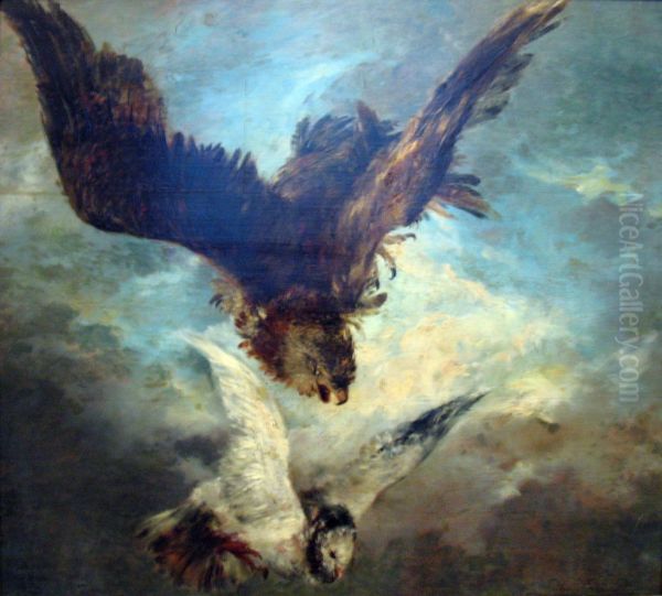 Falcon Attacking a Pigeon - view 1