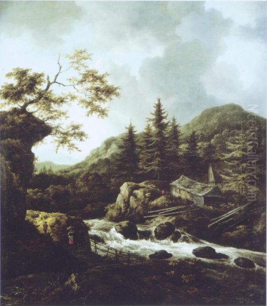 A wooded mountain torrent - view 1