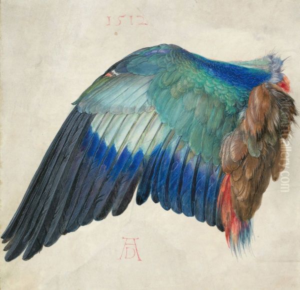 Wing of a European Roller - view 1