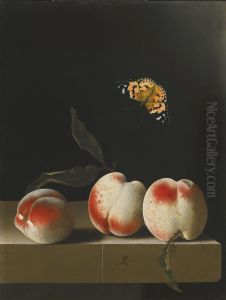 Still life with three peaches on a stone legde and a butterfly by Adriaen Coorte