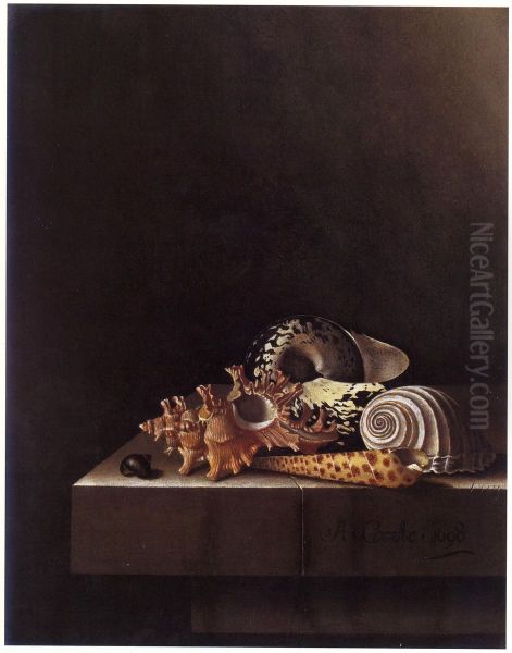 Still Life with Shells - view 1