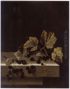 Black Currants Black Currants