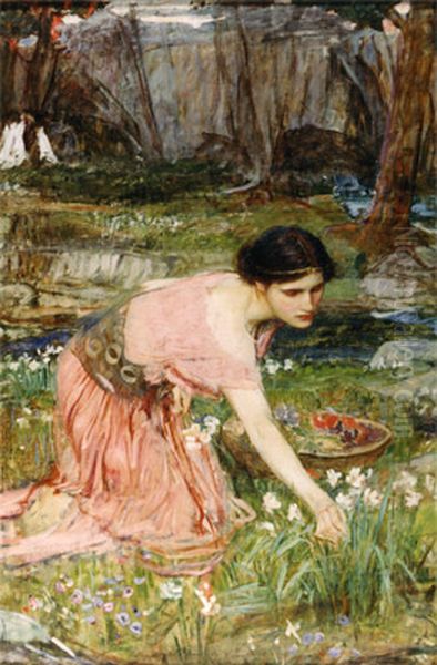 Flora - view 1