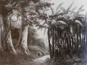 Tropical Forest by Camille Pissarro
