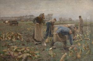 De bietenoogst De bietenoogst