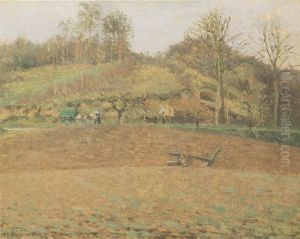 Terres labourees
