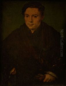 Portret van een man by Corneille De Lyon