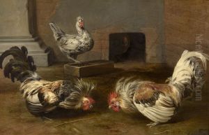 Fighting Cocks