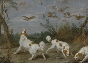 Partridge Hunt Partridge Hunt