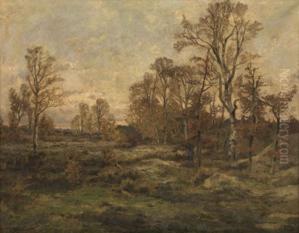 Het woud van Fontainebleau - herfstavond - view 1
