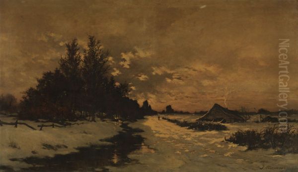 Winterdag in de Kempen - view 1