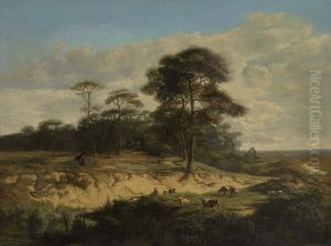 Landschap bij Kalmthout Landschap bij Kalmthout
