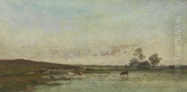 Fen in the Kempen - view 1