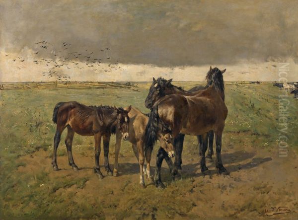 Veulens in de weide - view 1