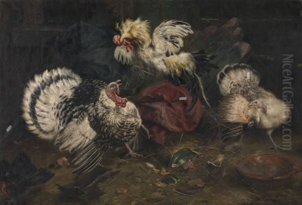 Fighting Cocks - view 1