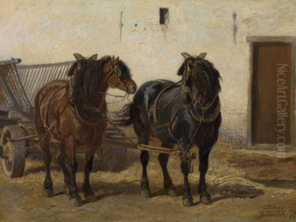 Paardenspan - view 1