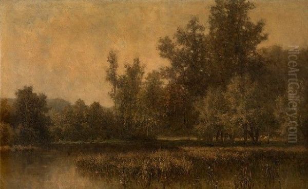 Swamp - view 1