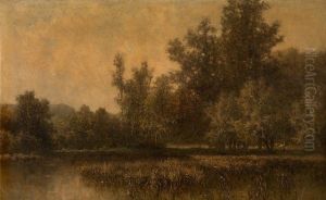 Swamp