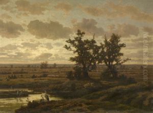 Fen in the Kempen