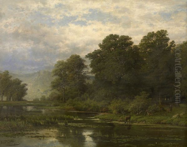 Landscape - view 1