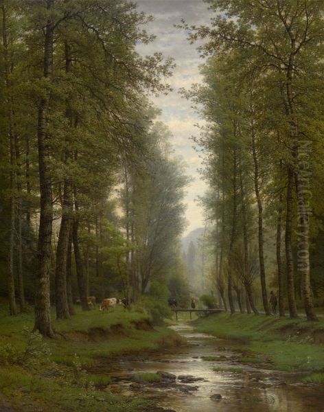 Brook in the Forest - view 1