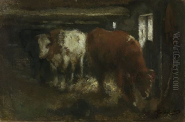 Slaughter shed - view 1