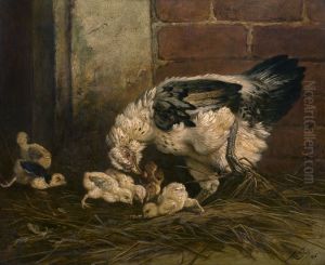 Hen met kuikens Hen met kuikens
