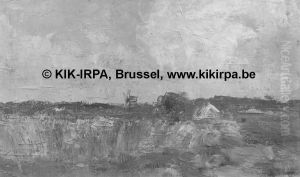 Cornfield