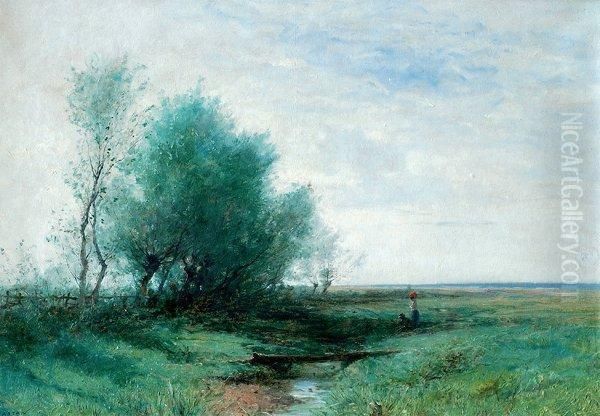 Paysage - view 1