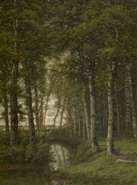 Eenzaamheid. Landschap in de omstreken van Schilde - view 1