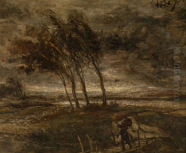 Stormlandschap - view 1