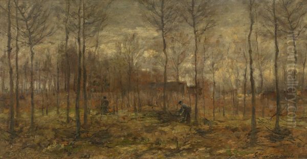 Woodland - view 1
