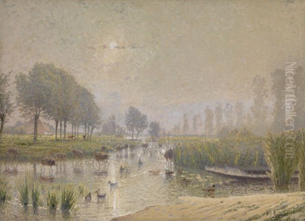 Eendennesten in het riet - view 1
