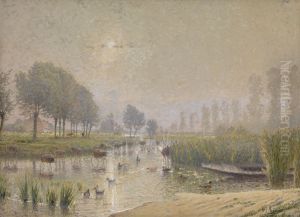 Eendennesten in het riet