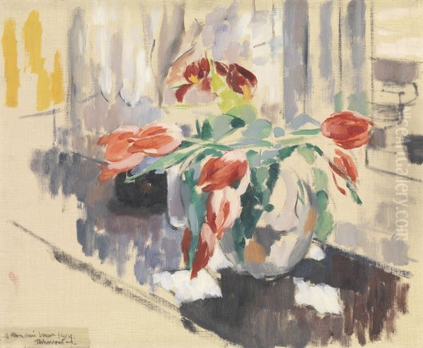 Tulpen - view 1