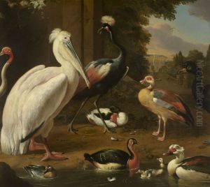 Water Birds