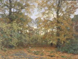 Woods in Autumn
