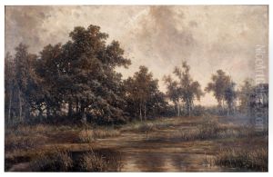 Pool in the Kempen