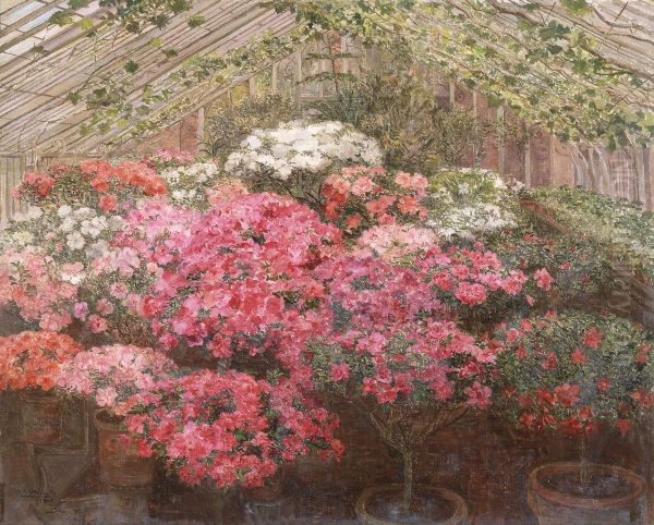 Greenhouse with Azaleas - view 1