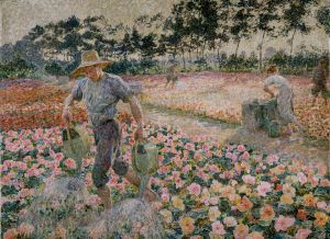 The Begonias (The Gardener) The Begonias (The Gardener)