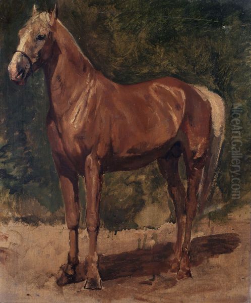 Study of a Horse - view 1