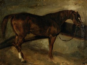 Brown Horse Brown Horse