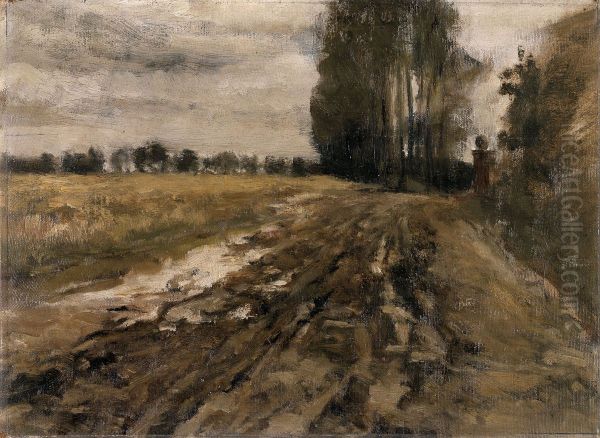 Country Road after the Rain - view 1