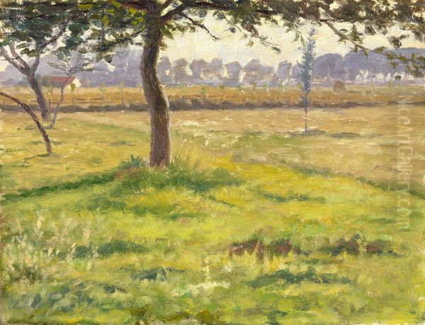Pastureland in Flanders - view 1