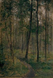Woodland Scene Woodland Scene
