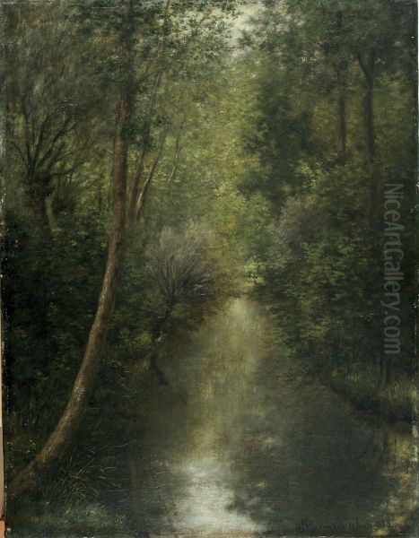 The River Zwalm in Munkzwalm - view 1
