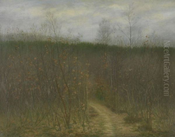 Scrubland in Sint-Martens-Latem - view 1