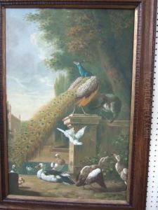 Peacocks With A Concert Of Birds